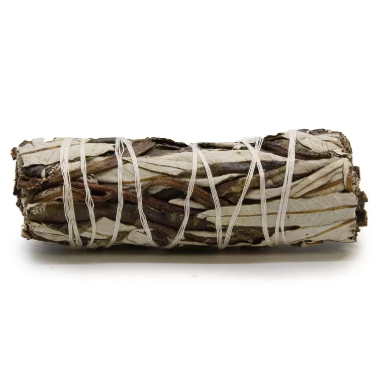 Bâtonnets de Sauge + yerba, Tarascon, SPITZZEN
