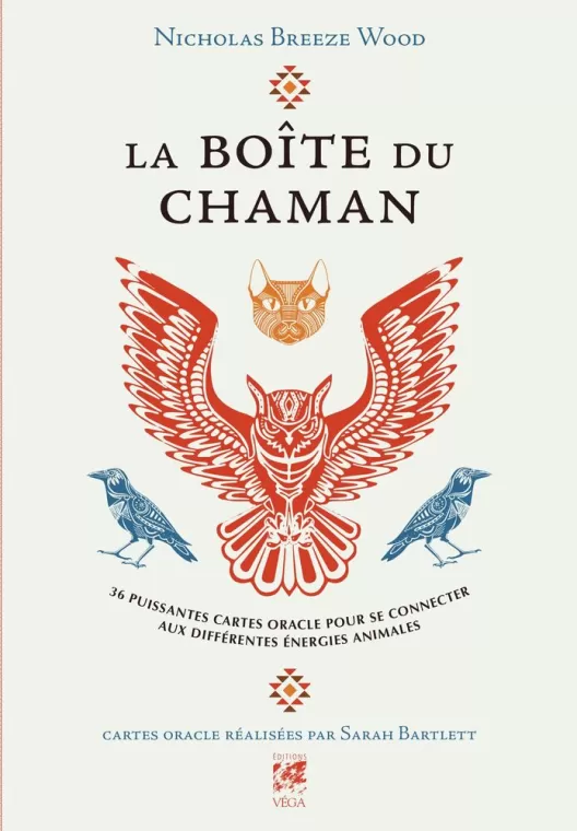La boîte du chaman de Nicholas Breeze Wood à Tarascon, Tarascon, SPITZZEN