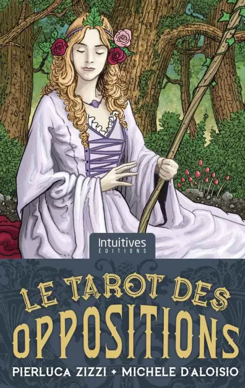Le Tarot des oppositions de Pierluca Zizzi à Nîmes, Tarascon, SPITZZEN