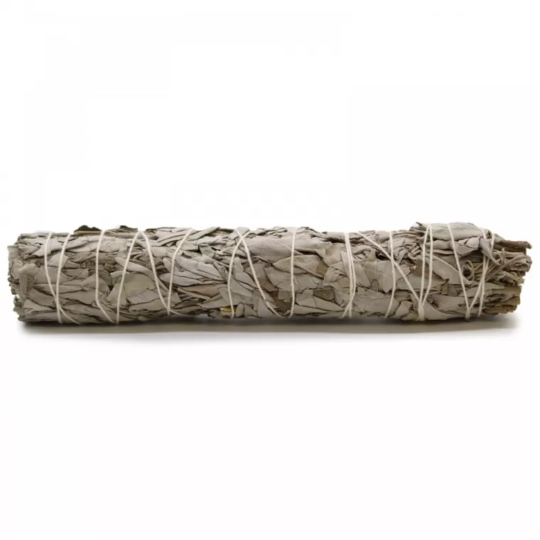 Bâtonnets de Sauge Blanche 22.5 cm, Tarascon, SPITZZEN