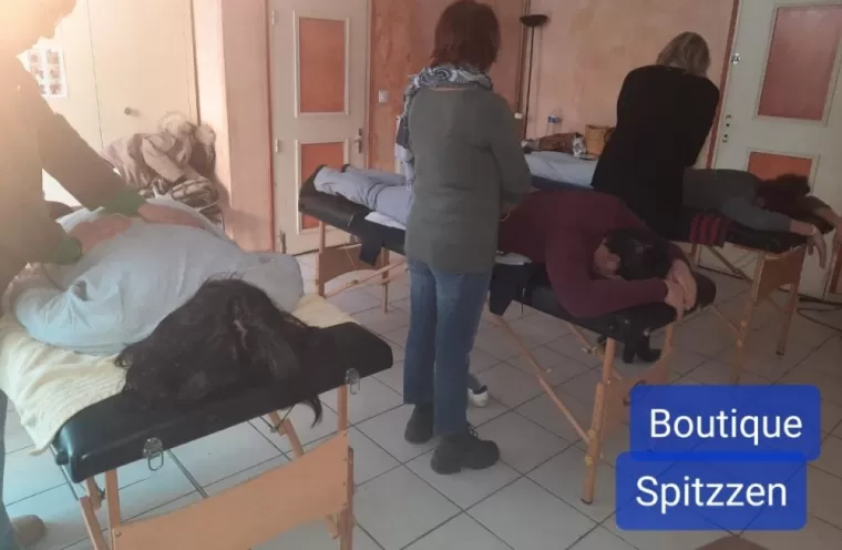 Formation Reiki de niveau 1 à Tarascon, Tarascon, SPITZZEN